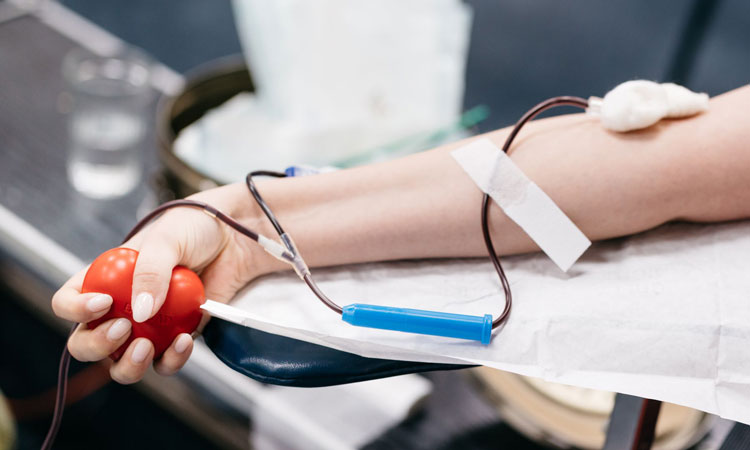 Биотехнологическая компания BIOCAD организовала масштабный День донора для своих сотрудников