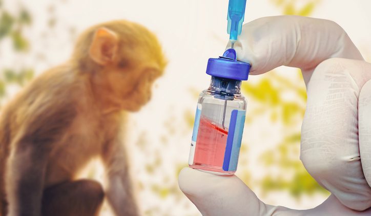 Ростех будет дорабатывать свою вакцину для защиты от оспы обезьян