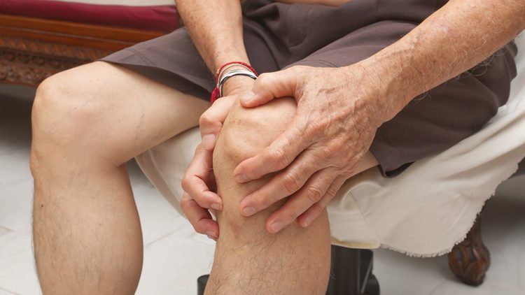 Закончен набор пациентов в исследования по восстановлению хряща коленного сустава собственными клетками человека
