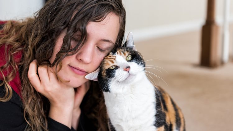 Российская вакцина от аллергии на кошек успешно прошла доклинические испытания