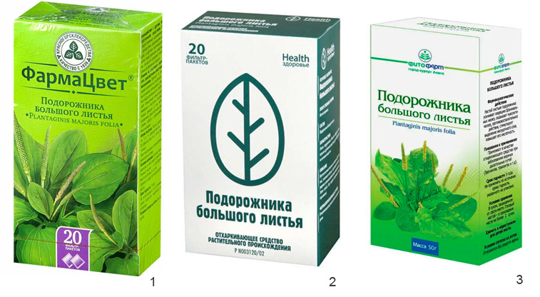 ТОП-5 лекарственных растений: чем полезны и как могут навредить .