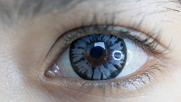 Ученые РУДН научили нейросеть понимать движение глаз