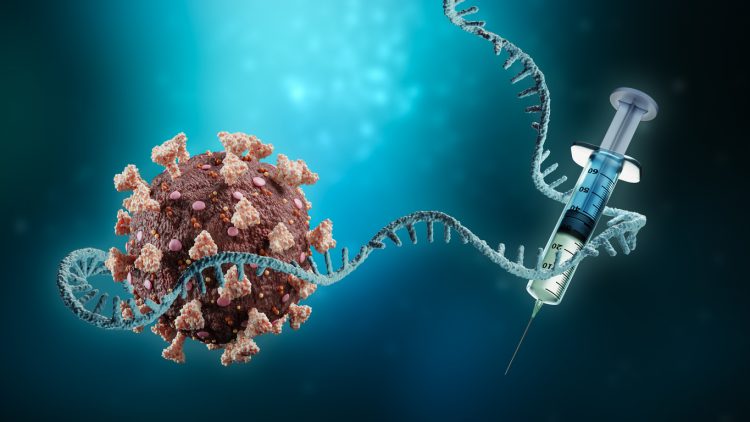 Нобелевскую премию по медицине вручили за мРНК-вакцину от ковида