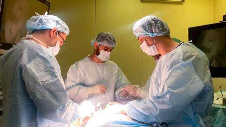 Для обучения хирургов в Сеченовке впервые применили тренажер с натуральными органами животных