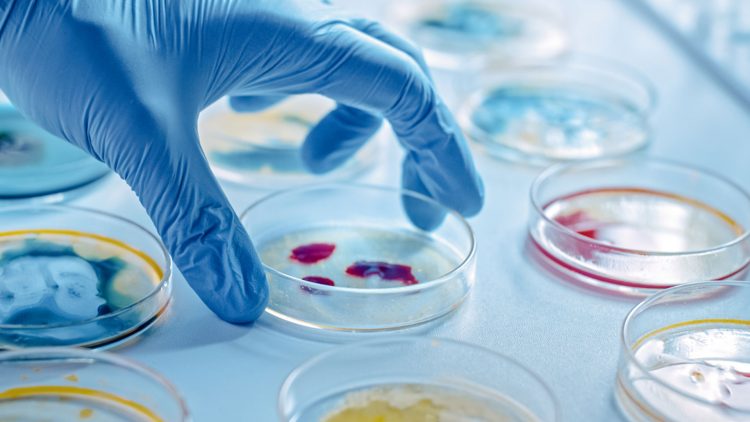Ученые нашли на МКС штаммы мутировавшей бактерии, устойчивые к антибиотикам