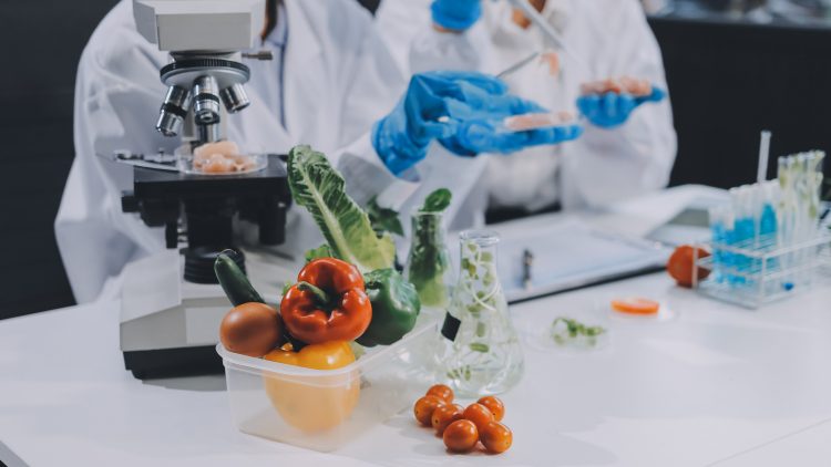 В Новосибирске  разработали продукты для летнего питания