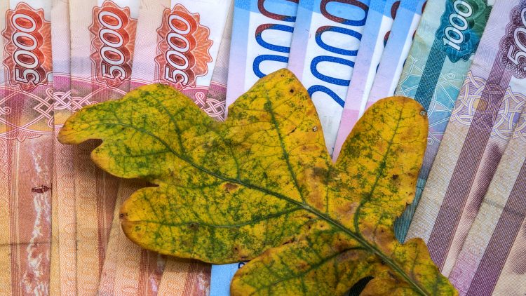 На лечение онкопациентов травой и гомеопатией регионы в 2024 году потратили свыше 13 млн рублей