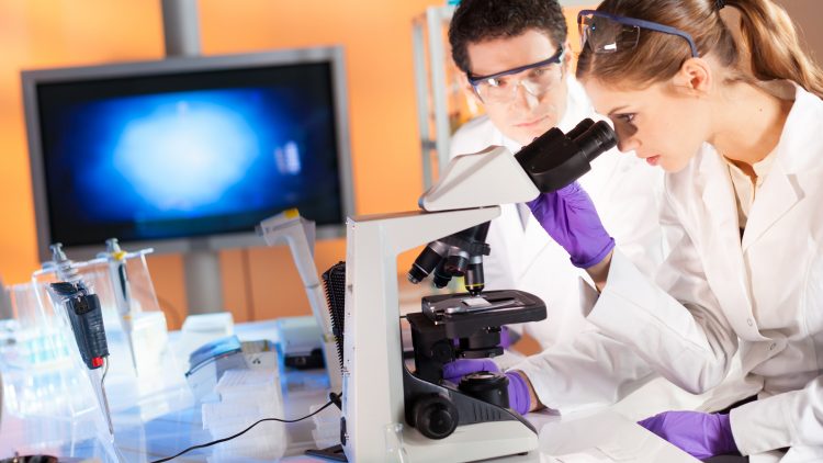 Сибирские ученые заявили о планах по созданию 10 высокотехнологичных лекарств