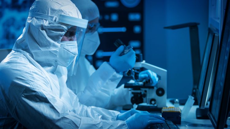 Ученые нашли на территории России 60 неизвестных ранее вирусов