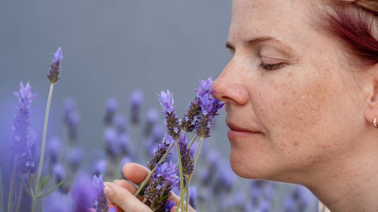 Ученые ищут эффективные ароматы для лечения страха перед врачами