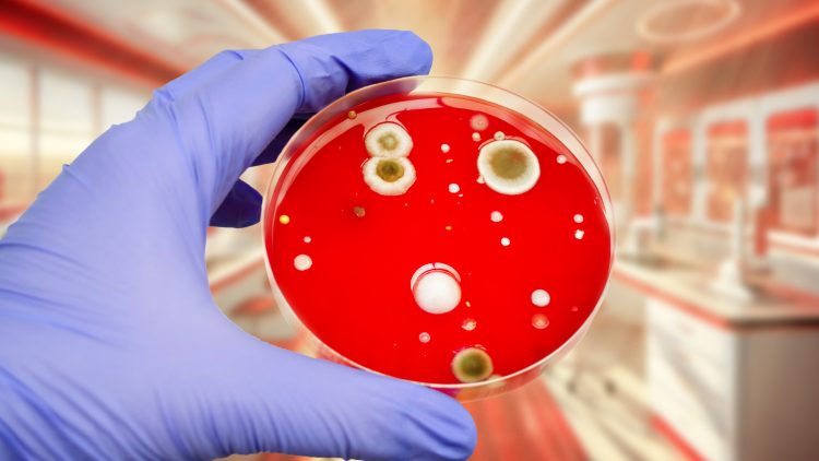 Академик назвал меры для борьбы с устойчивостью бактерий к лекарствам