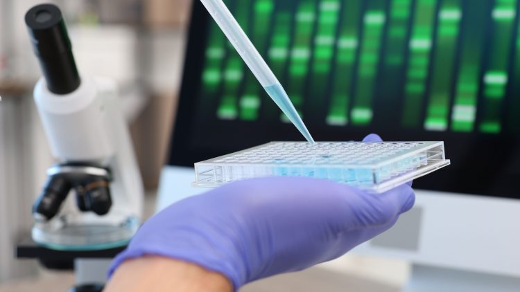 В России создадут платформу персонализированных лекарств с зарубежными инвестициями