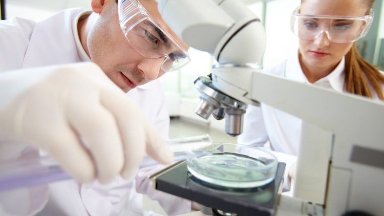 В России разработали гель с редкоземельным металлом вдвое быстрее заживляющий раны