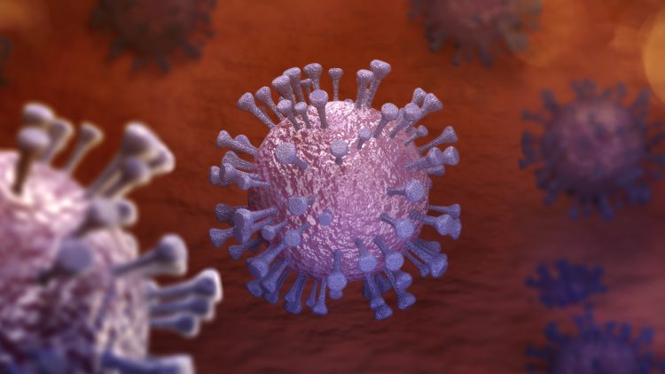 Роспотребнадзор: прививки текущего сезона на 80-90% обеспечивают защиту от гонконгского гриппа