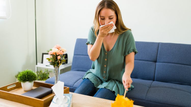 На российский рынок вышел новый отечественный препарат для лечения аллергии на пыль