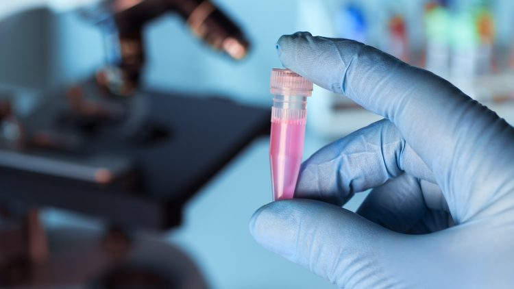 В России создали быстрый тест для обнаружения бактерии, вызывающей внутрибольничные инфекции