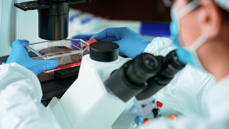 Ученые нашли новый способ для раннего выявления рака