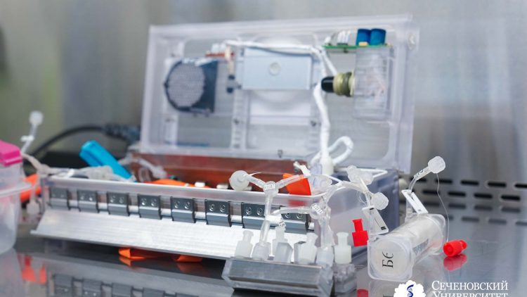 Российские ученые завершают эксперименты по изучению биоэквивалентов на МКС