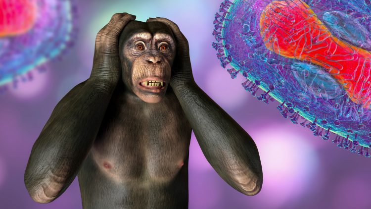 Роспотребнадзор рассказал о контроле над ситуацией с распространением оспы обезьян в России