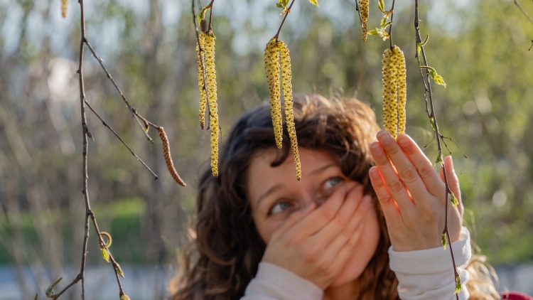 Вакцина от аллергии будет зарегистрирована во втором квартале 2026 года