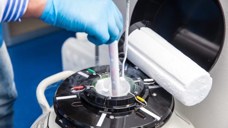 Минздрав научит врачей рассказывать онкобольным о криозаморозке половых клеток