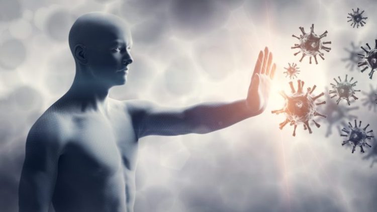 Ученые Сеченовского университета научились прогнозировать траекторию старения иммунной системы