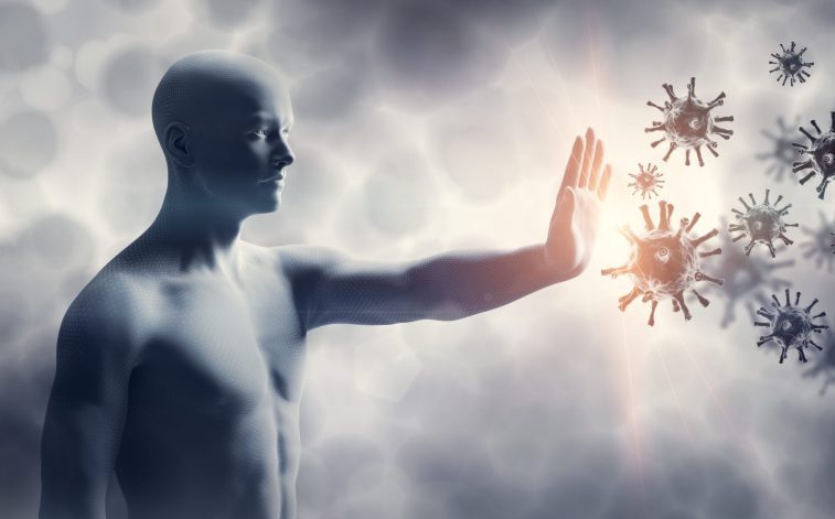 Ученые Сеченовского университета научились прогнозировать траекторию старения иммунной системы