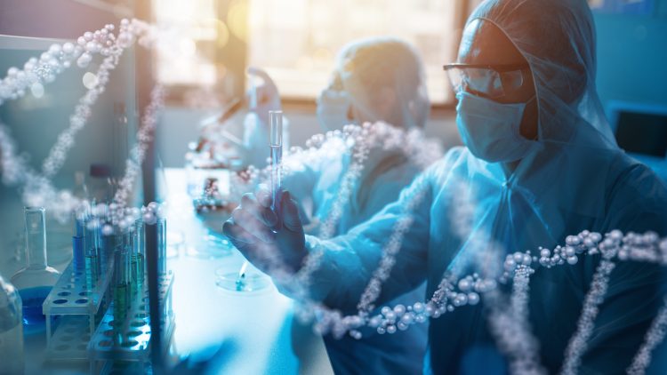 В России разрабатывают препарат для блокировки гена старения