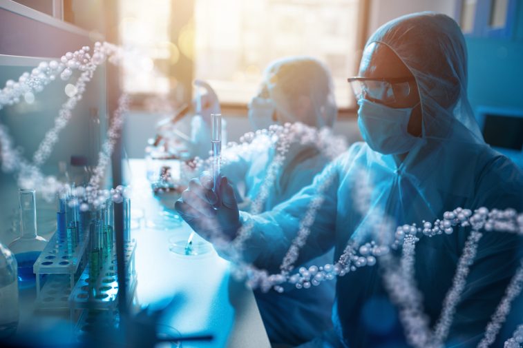 В России разрабатывают препарат для блокировки гена старения