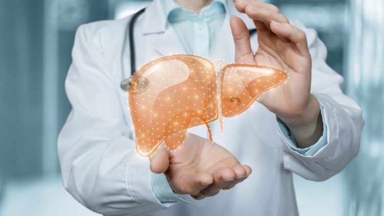 Российские биоинженеры научились «включать» самовосстановление печени 