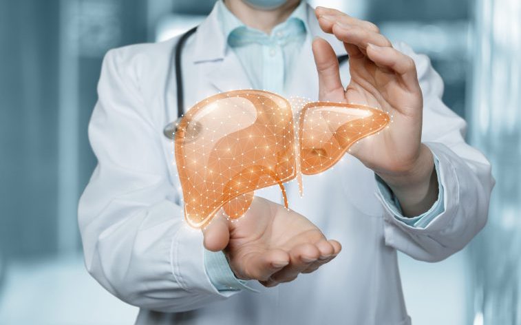 Российские биоинженеры научились «включать» самовосстановление печени 