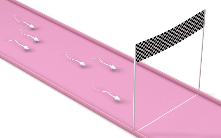 В США пройдет «Гонка сперматозоидов» — турнир для привлечения внимания к проблемам мужской фертильности 