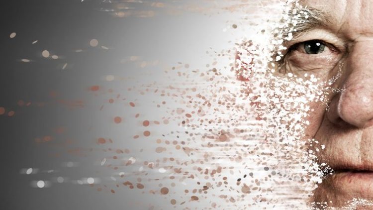Ученые назвали 14 механизмов старения: два из них открыты совсем недавно