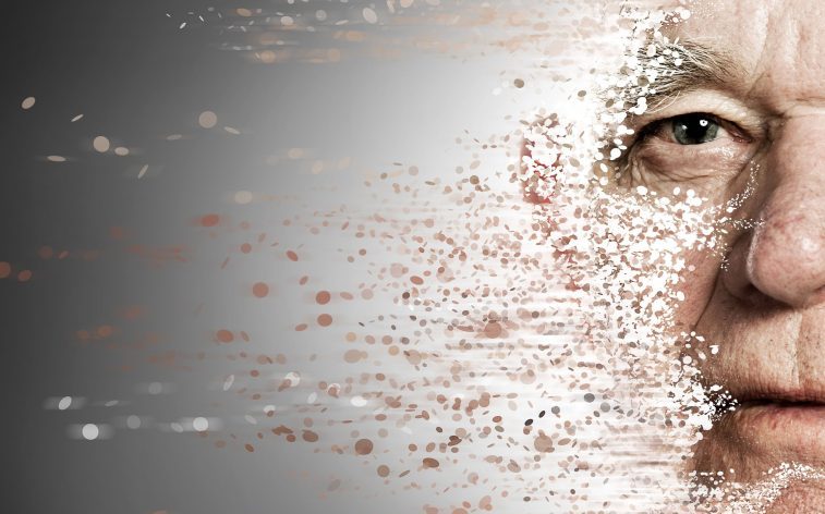 Ученые назвали 14 механизмов старения: два из них открыты совсем недавно