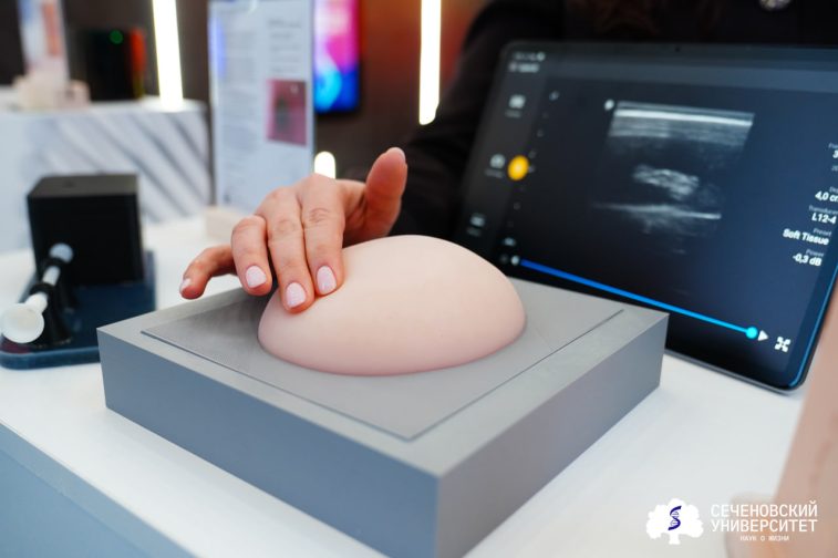 Для обучения хирургов в России создали орган-фантом молочной железы